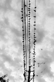 �ټ���ң�ض���ѥ��Ƶ���й�����н���������ͨ�� ʱ��250����(ͼ)...